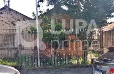 Terreno residencial com 390m² à venda na vila maria