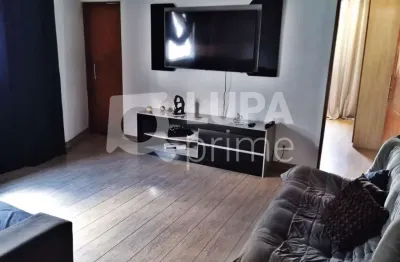 Casa com 4 quartos e 6 vagas de garagem à venda na vila maria