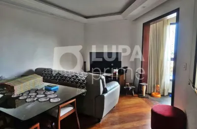 Apartamento com 3 quartos e 2 vagas de garagem para locação no tucuruvi