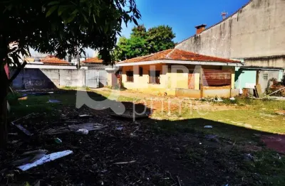 Terreno à venda na Rua José Figliolini, 525, Jaçanã, São Paulo