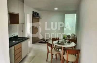 Apartamento com 1 quarto à venda na Rua Jerônima Dias, 270, Água Fria, São Paulo