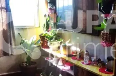 Apartamento com 2 quartos e 1 vaga de garagem à venda no jardim andaraí