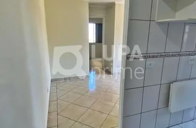 Apartamento com 2 quartos e 1 vaga de garagem à venda na vila guilherme