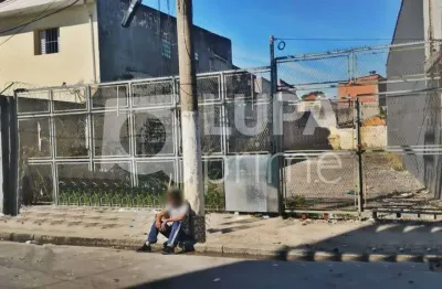 Terreno à venda na Rua Valdemar Dória, 183, Catumbi, São Paulo