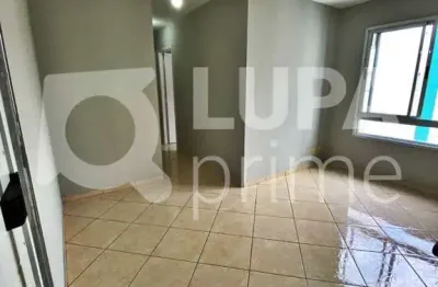 Apartamento com 2 quartos e 1 vaga de garagem à no parque novo mundo