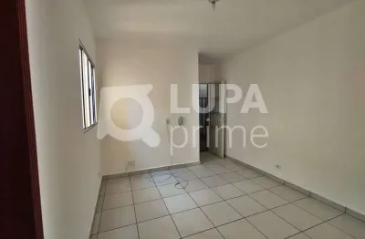 Apartamento com 1 quarto para locação na vila guilherme
