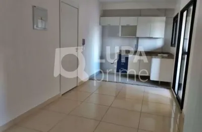 Apartamento com 2 quartos e 1 vaga de garagem para locação na vila maria alta