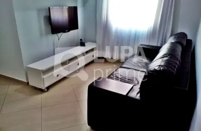 Apartamento com 2 quartos e 1 vaga de garagem à venda na vila guilherme