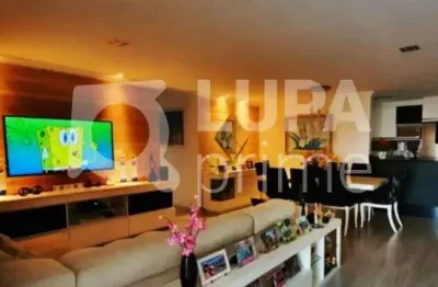 Apartamento com 3 quartos e 2 vagas de garagem à venda no mandaqui