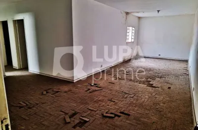 Apartamento comercial com 187 m² para locação no parque novo mundo