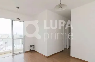 Apartamento com 03 quartos para venda, vila guilherme, são paulo