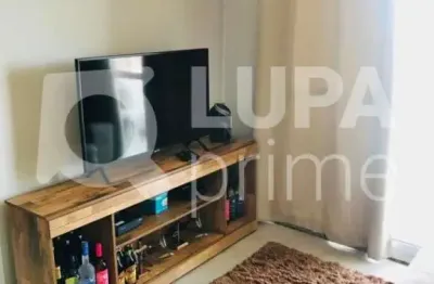 Apartamento com 2 quartos para venda, casa verde, são paulo