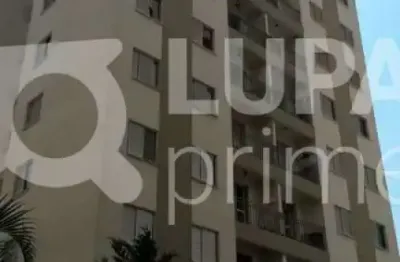Apartamento com 3 quartos para venda, vila guilherme, são paulo