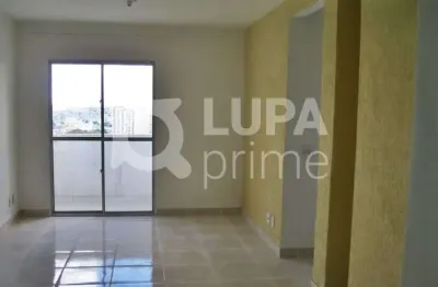 Apartamento com 3 quartos para venda, vila bela vista, são paulo