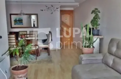 Apartamento com 3 quartos para venda, santana, são paulo