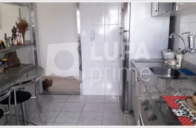 Apartamento com 2 quartos e 1 vaga de garagem para venda, vila medeiros