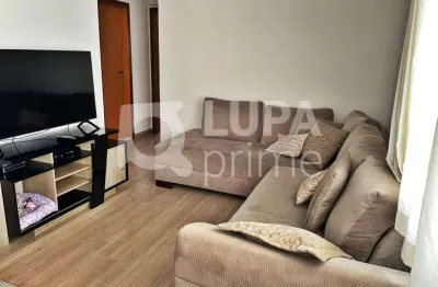 Apartamento com 2 quartos para venda, vila maria baixa, são paulo