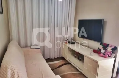 Apartamento com 3 quartos para venda, freguesia do ó, são paulo