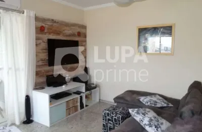 Partamento cobertura duplex a venda no parque novo mundo