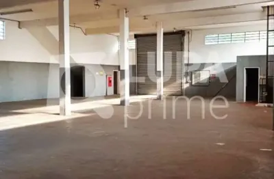 Galpão comercial com 1.300m² para venda, vila maria, são paulo