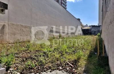 Terreno residencial com 500m² para venda, santana, são paulo
