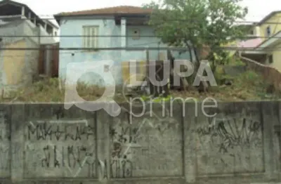 Terreno à venda na Rua Vianópolis, 279, Vila Maria Alta, São Paulo