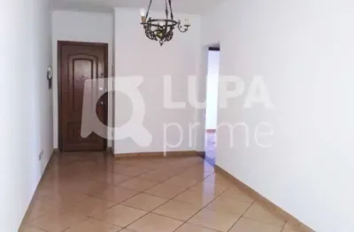 Apartamento 85m² com 2 quartos para venda - pq novo mundo - são paulo
