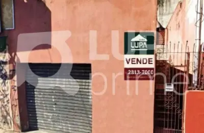 Terreno 156m² para venda, vila isolina mazzei, são paulo