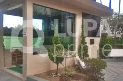 Apartamento com 2 quartos para venda, jardim andaraí, são paulo