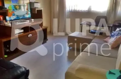 Casa com 3 quartos à venda na Rua Domingos Castrale, 45, Vila Maria Alta, São Paulo
