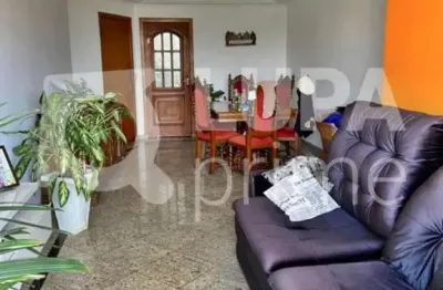 Apartamento com 3 quartos para venda, parque mandaqui, são paulo