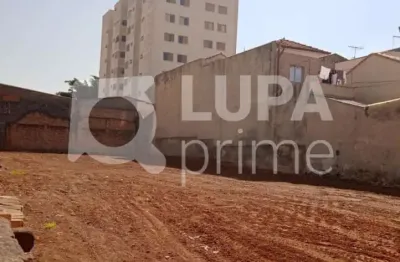 Terreno residencial com 800m²  para venda, vila guilherme, são paulo