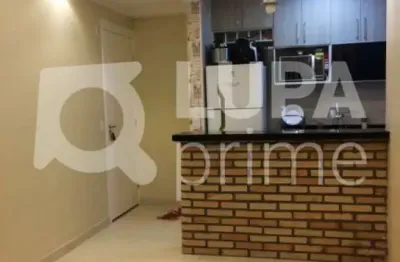 Apartamento com 2 quartos para venda, jaçana, são paulo
