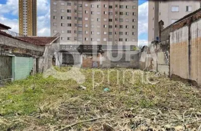 Terreno residencial com 235m² para venda, tatuapé, são paulo