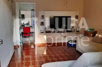 Casa térrea com 3 quartos para venda, pirituba, são paulo