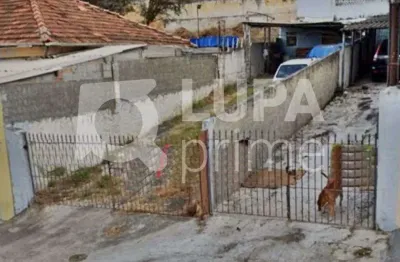 Terreno residencial com 284m² para venda, vila maria alta, são paulo