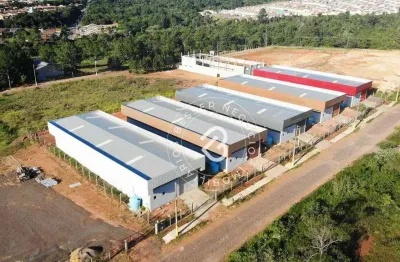 Pavilhão à venda, 490 m² por r$ 1.750.000,00 - fazenda são borja - são leopoldo/rs