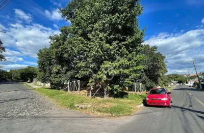 Terreno à venda, 304 m² por r$ 290.000,00 - feitoria - são leopoldo/rs