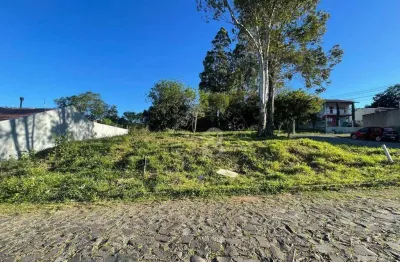 Terreno à venda, 220 m² por r$ 169.000,00 - campestre - são leopoldo/rs