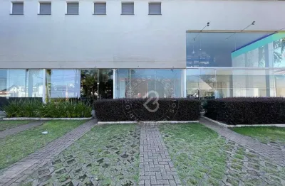 Loja para alugar, 38 m² por R$ 3.774,00/mês - Centro - São Leopoldo/RS