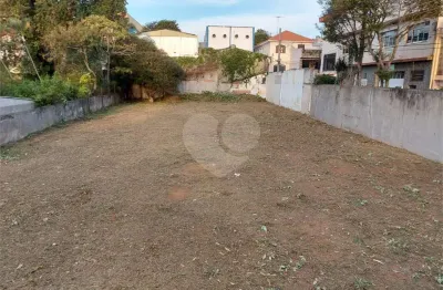 Terreno à venda na Rua Carnaíba, Vila Diva, São Paulo