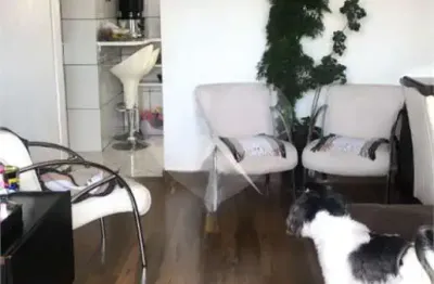 Apartamento com 2 quartos à venda na Vila Prudente, São Paulo 