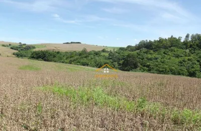 Fazenda à venda, 145200 m² por r$ 1.500.000 - monte verde - santo antônio da platina/pr