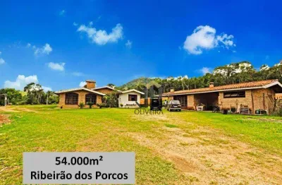 Área à venda, 54000 m² por r$ 7.500.000,00 - ribeirão dos porcos - atibaia/sp