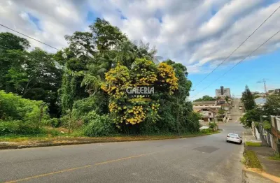 Terreno no petrópolis com 0 quartos para venda, 726 m²