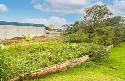 Terreno no anita garibaldi com 0 quartos para venda, 528 m²