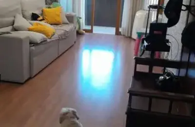 Apartamento para venda em santo andré, centro, 4 dormitórios, 1 suíte, 2 banheiros, 2 vagas