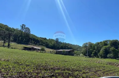 Chácara / sítio com 3 quartos à venda no Centro, Catanduvas 