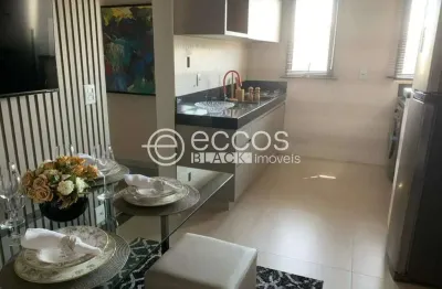 Apartamento para aluguel, 2 quartos, 1 suíte, 1 vaga, nossa senhora das graças - uberlândia/mg