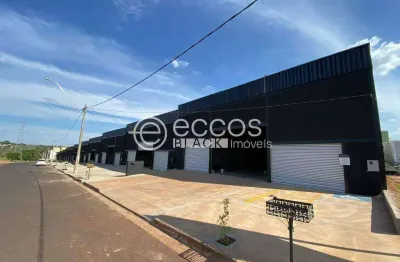 Barracão para aluguel, 1 quarto, 4 vagas, shopping park - uberlândia/mg